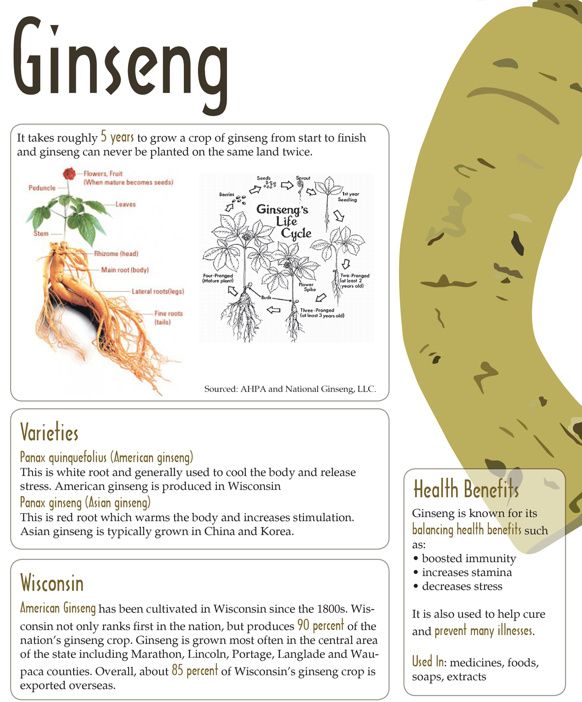 Ginseng